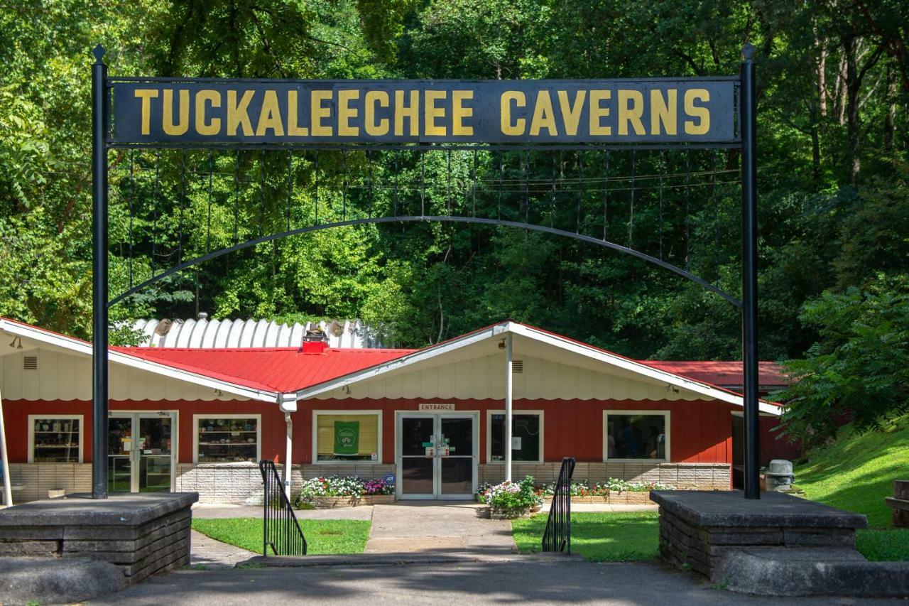 Twin Cub Lodge Tuckaleechee Eksteriør bilde